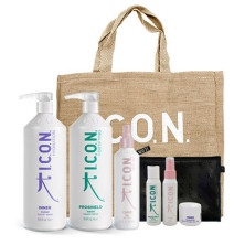 Pack Especial Summer Repair
