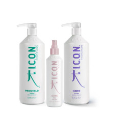 Pack ICON Summer repair Inner 1L y Proshield 1L