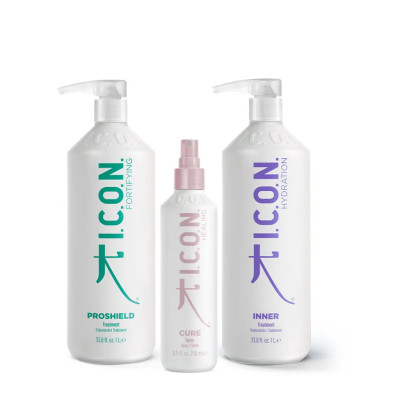 Pack ICON Summer repair Inner 1L y Proshield 1L