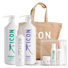 Pack ICON Summer repair Inner 1L y Proshield 1L