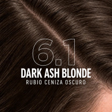 ICON Flash Color 6.1 Rubio Ceniza Oscuro + Developer
