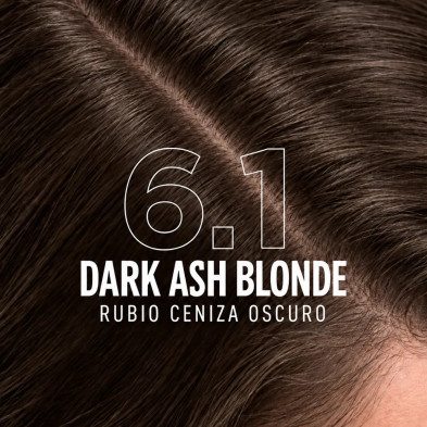 ICON Flash Color 6.1 Rubio Ceniza Oscuro + Developer