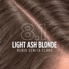 ICON Flash Color 8.1 Rubio Ceniza Claro + Developer
