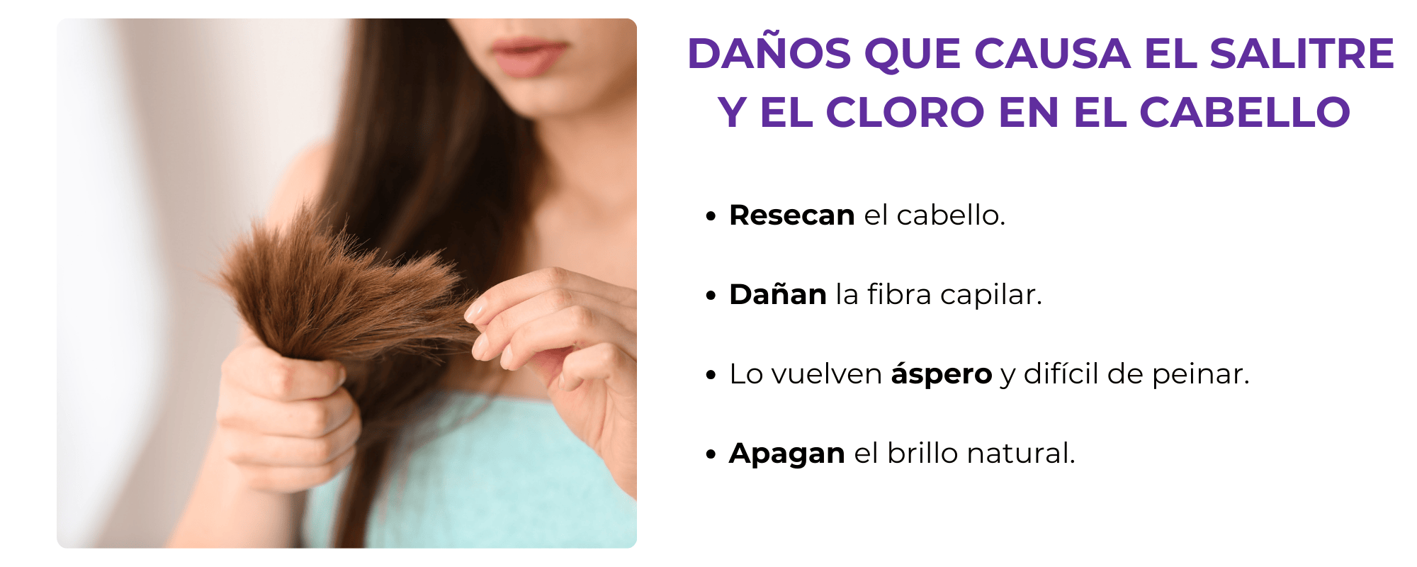 Infografía sobre el daño del salitre y el cloro al cabello.