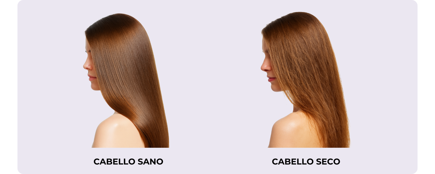 Comparación visual entre cabello seco y sano