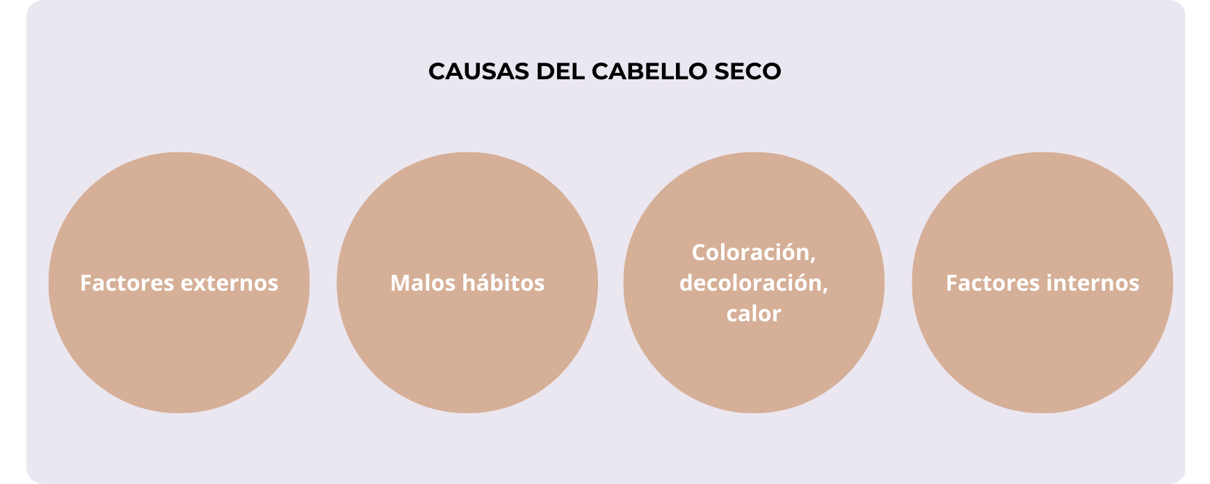 Principales causas del pelo seco como sol, tintes y herramientas térmicas