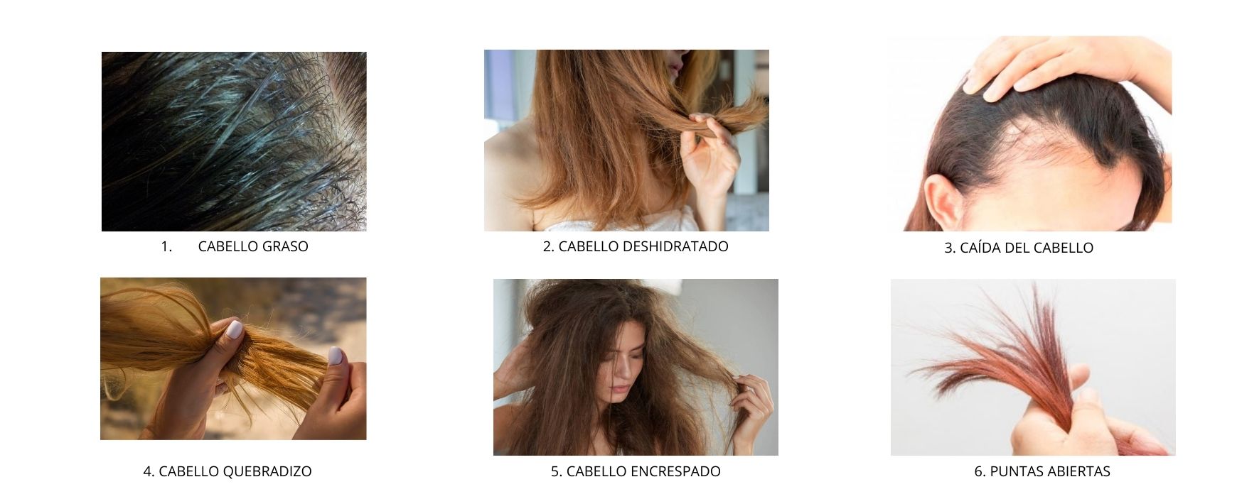 tipos problemas del cabello