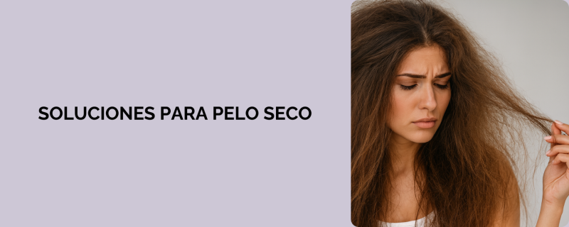 ¿Cómo hidratar y cuidar el pelo seco?